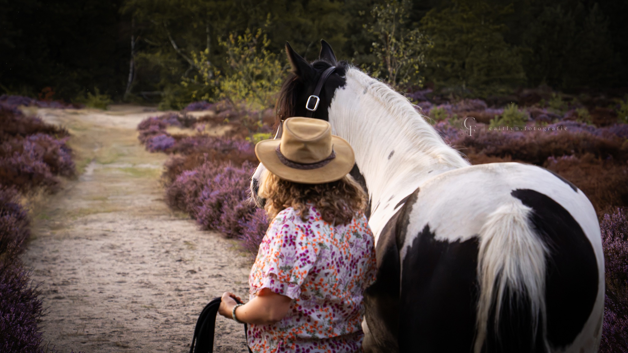 Heide shoot met paard en persoon